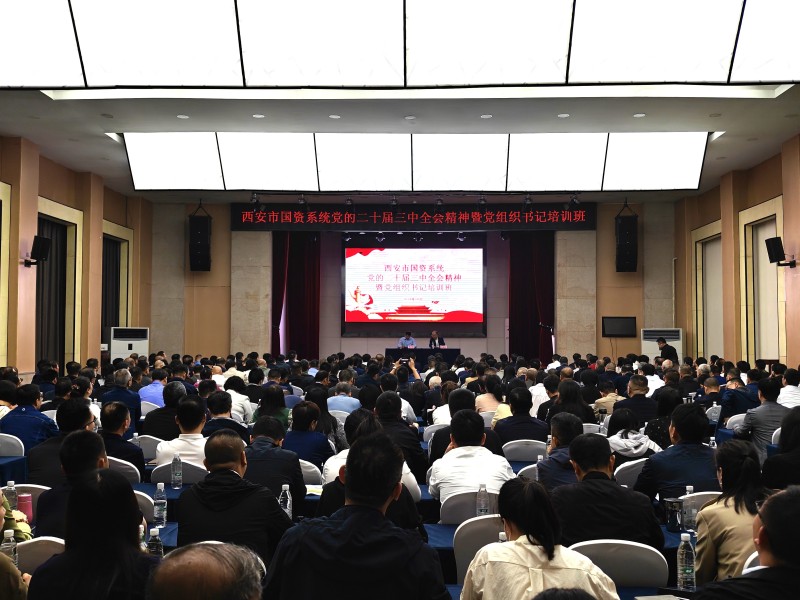 1730172954813189.jpg 1111111.jpg